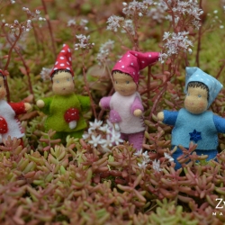 Svea, Arvid, Ida und Leif