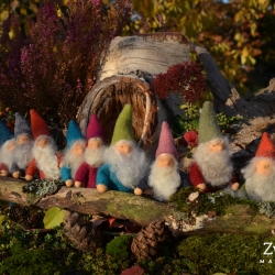 Zwergenschar in der Sonne