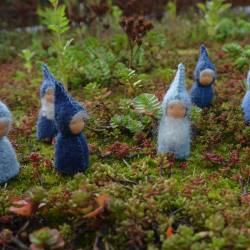 LILLE-Gruppe in blau