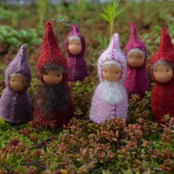 LILLE Gruppe rot rosa