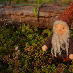 HJEMME braun Johannes Krakenbart