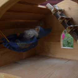 Mika in der Hängematte